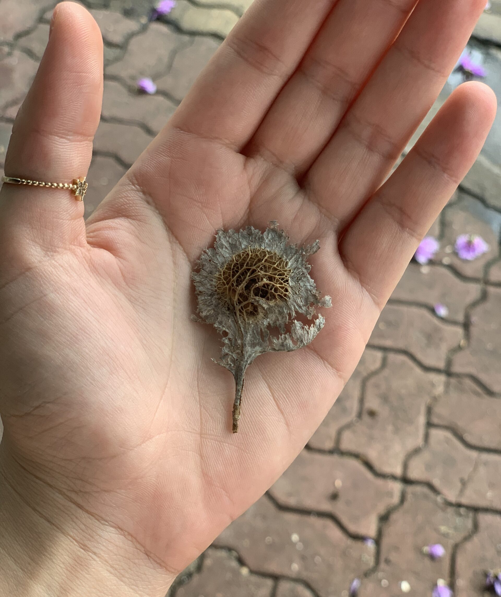 How I Finally Cracked the Manifestation Code: It Wasn’t My Mind, It Was My Nervous System